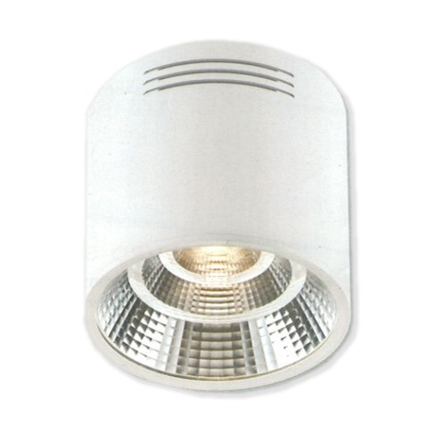 LED COB 12W 壁切四段/遙控式三段變色筒燈 黑/白