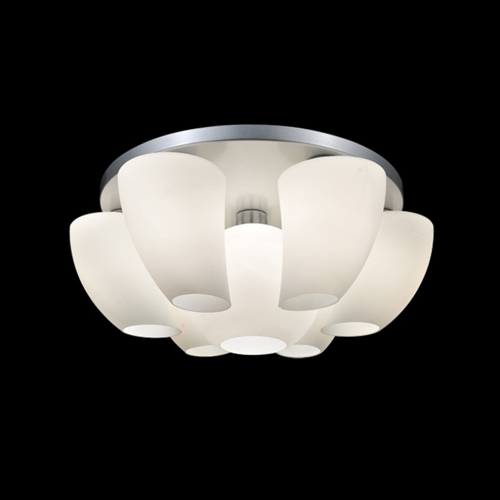 Novo 弧面霧玻吸頂燈