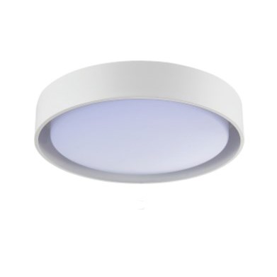 Reveal 居家簡約吸頂燈