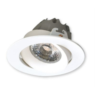 崁孔9.5cm LED 12W 可調角防眩崁燈