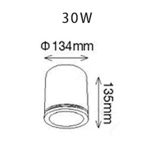 LED 10W/20W/30W 神盾筒燈 白/黑 可選色溫