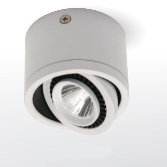 LED 9W 可調角筒燈 黑/白