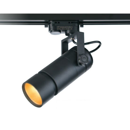 LED 25W 可拆式光源 軌道燈 白/黑