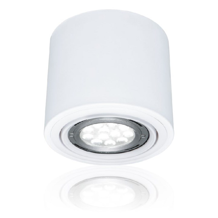 AR111 LED 9W/14W 替換式筒燈 黑/白