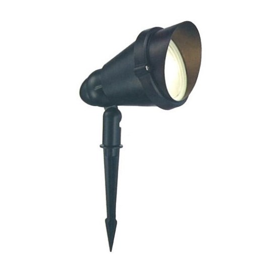 LED PAR38 亮面黑戶外草皮插地燈 IP66