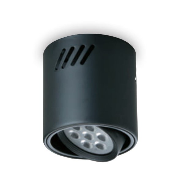 LED 9W/12W/15W 可調角筒燈 黑/白