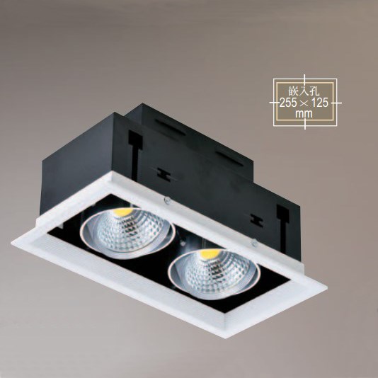 LED 20W 白框 二盒燈