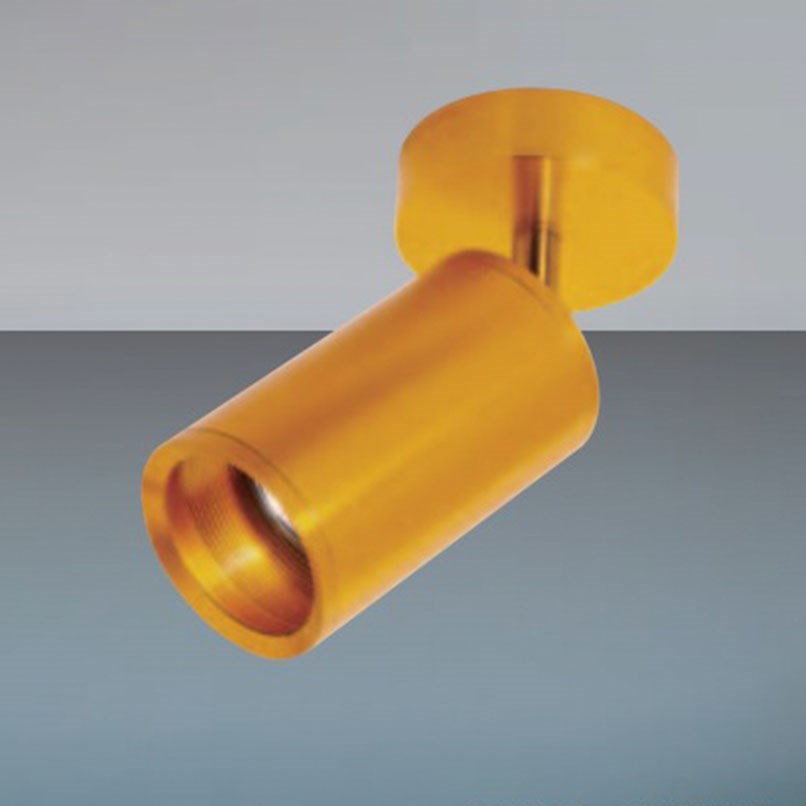 Barclay 投射吸頂燈 三色可選