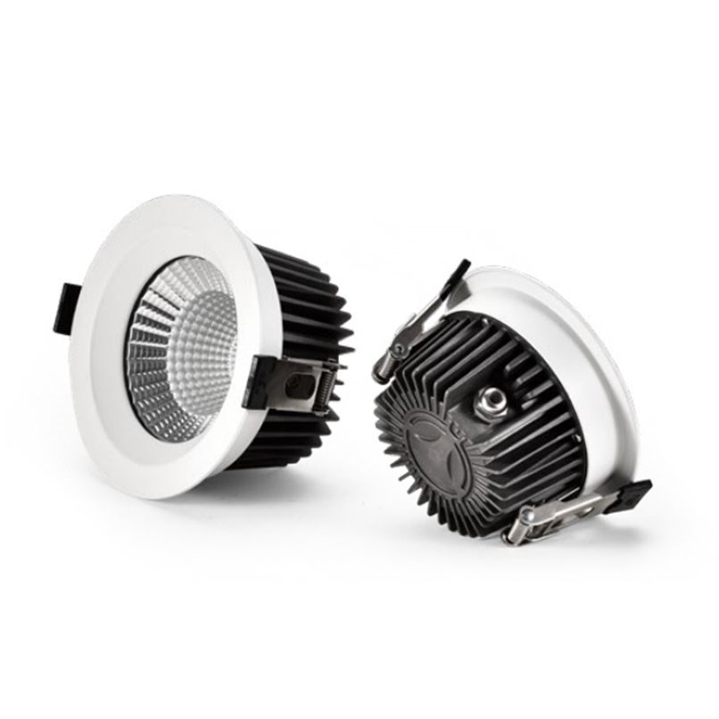 崁孔9.5/11cm LED 12W/20W 防水IP65 45度聚光崁燈 