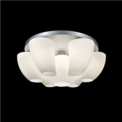 Novo 弧面霧玻吸頂燈