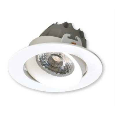 崁孔9.5cm LED 12W 可調角防眩崁燈