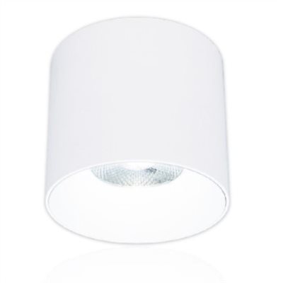 LED 10W/20W/30W 神盾筒燈 白/黑 可選色溫