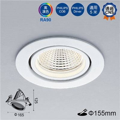 崁孔 15.5cm LED 30W 挑高伸縮崁燈