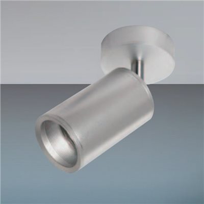 Barclay 投射吸頂燈 三色可選