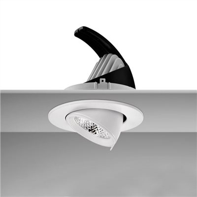 崁孔7.5/9.5cm LED 7W/12W 24度聚光崁燈 