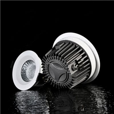 崁孔9.5/11cm LED 12W/20W 防水IP65 45度聚光崁燈 